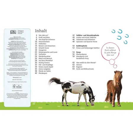 DK Verlag Pferde und Ponys Alles über deine Lieblingstiere