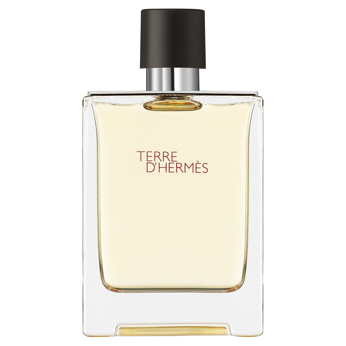 HERMÈS Terre d'Hermès Eau de Toilette
