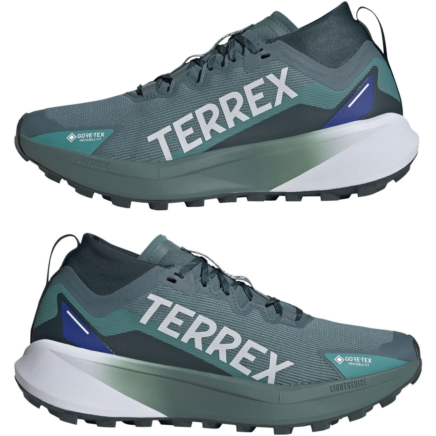 adidas Terrex Agravic GTX Heren