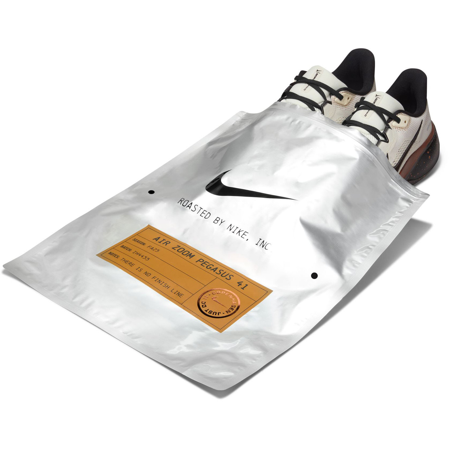 Nike Pegasus 41 Heren