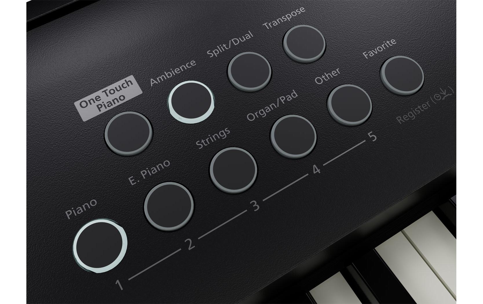 E-Piano FP-E50<br>Modernes, tragbares Piano mit leistungsstarken Entertainment-Funktionen