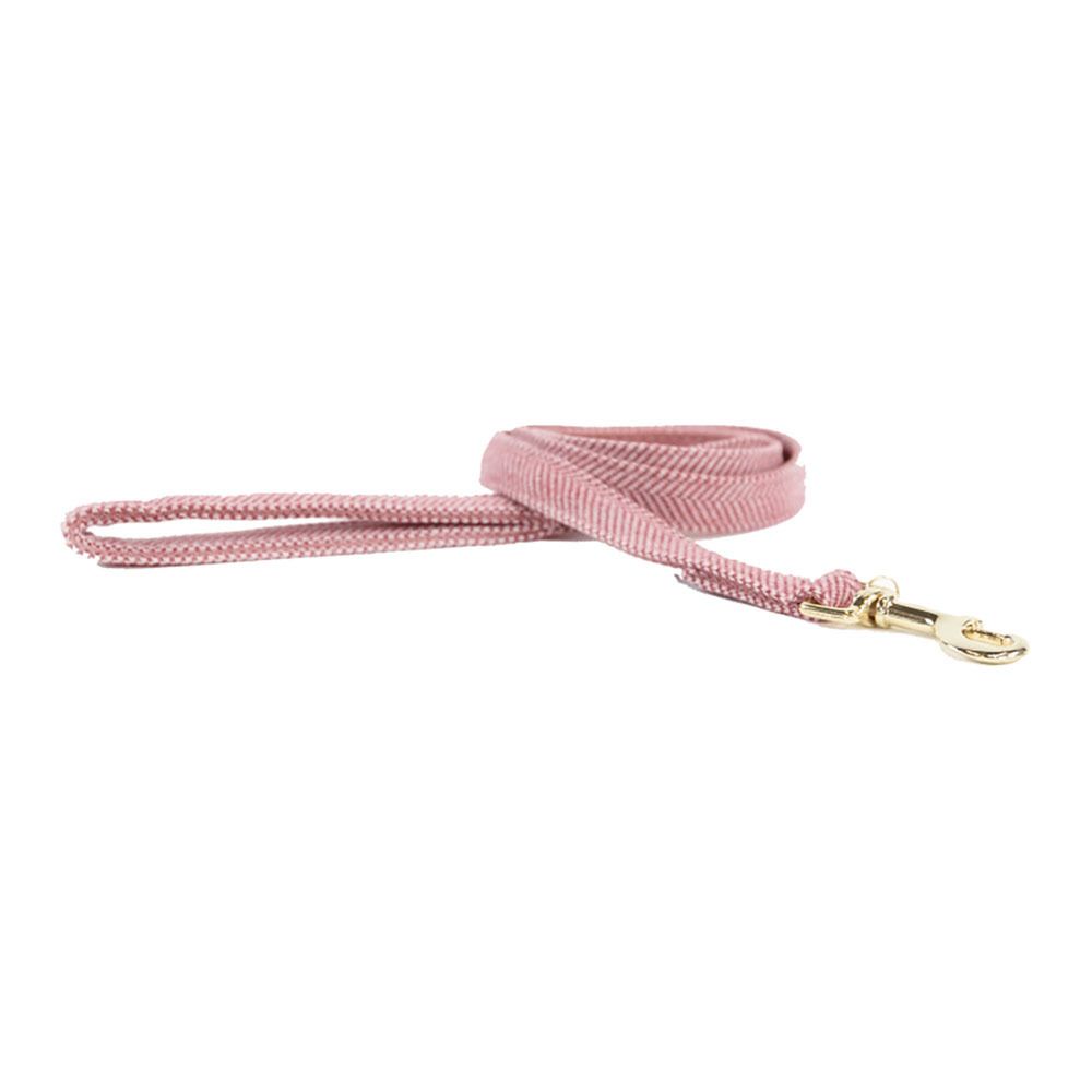 Kentucky LAINE 120CM - Laisse pour chien old rose