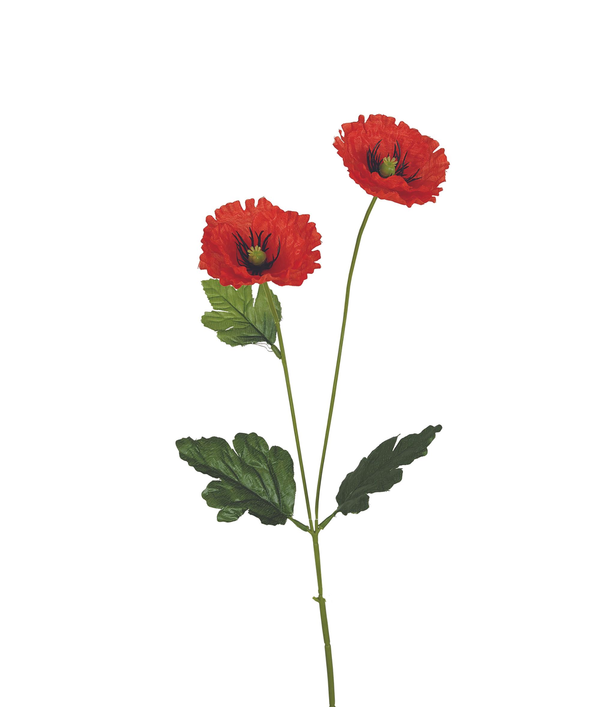 TIGE COQUELICOT H.60CM ROUGE