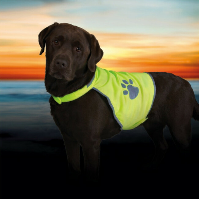 Gilet de sécurité réfléchissant Trixie pour chiens