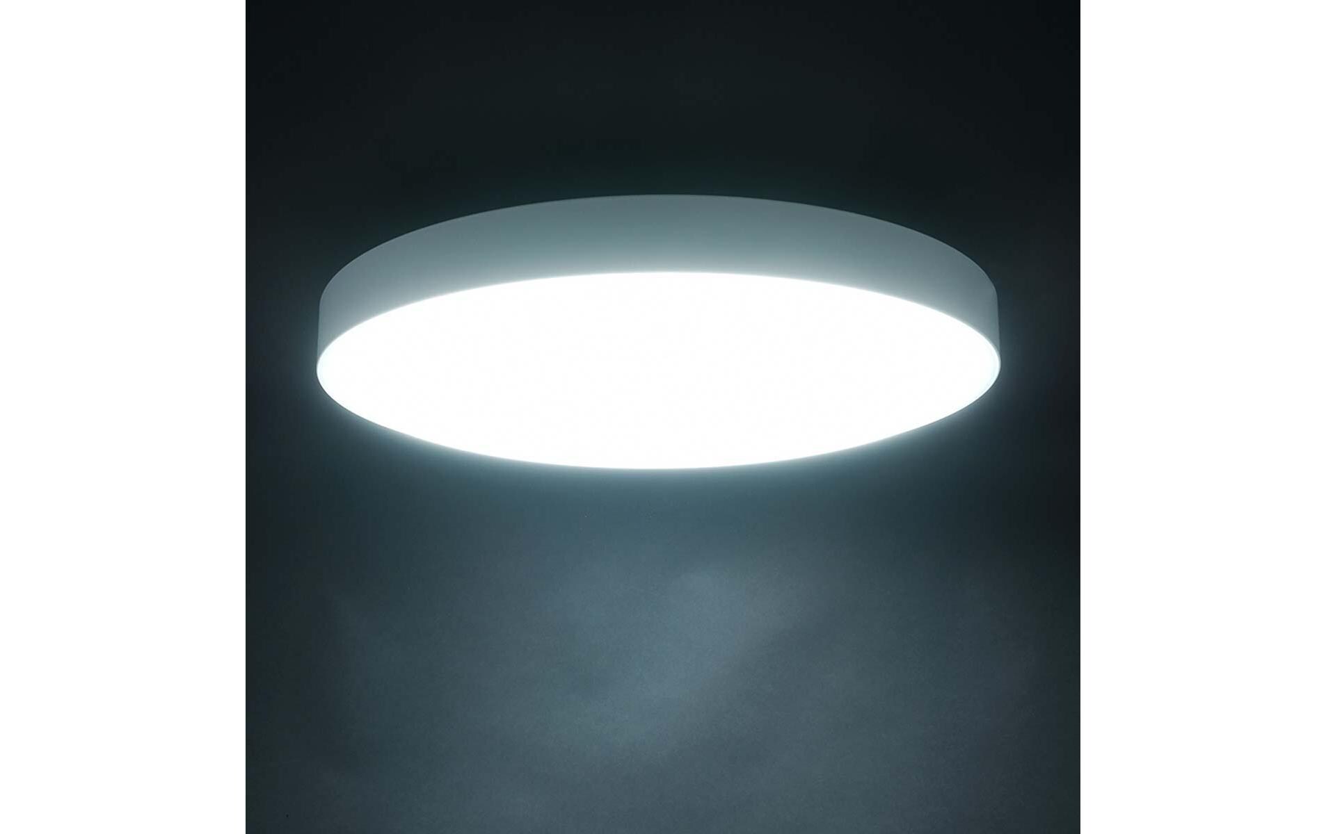 Deckenleuchte C2001 LED 450, Ø 45.5 cm<br>Deckenaufbauleuchte