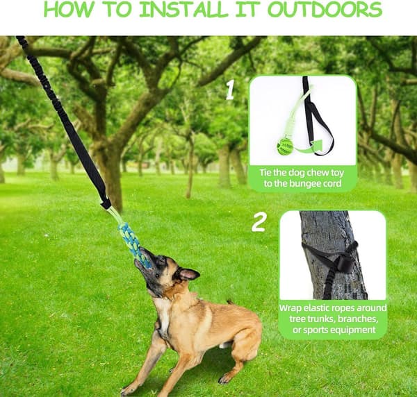 INF Hundedraktball