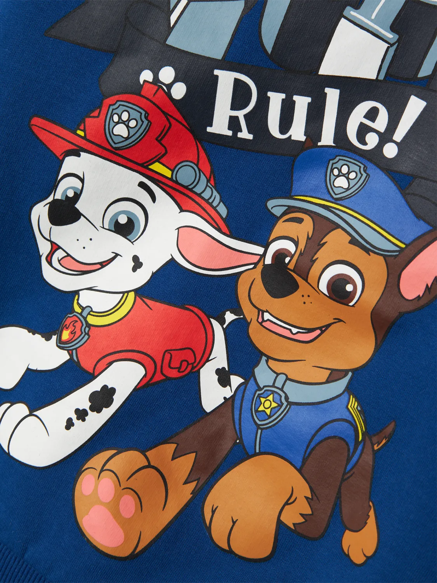 Day Pawpatrol Sweat