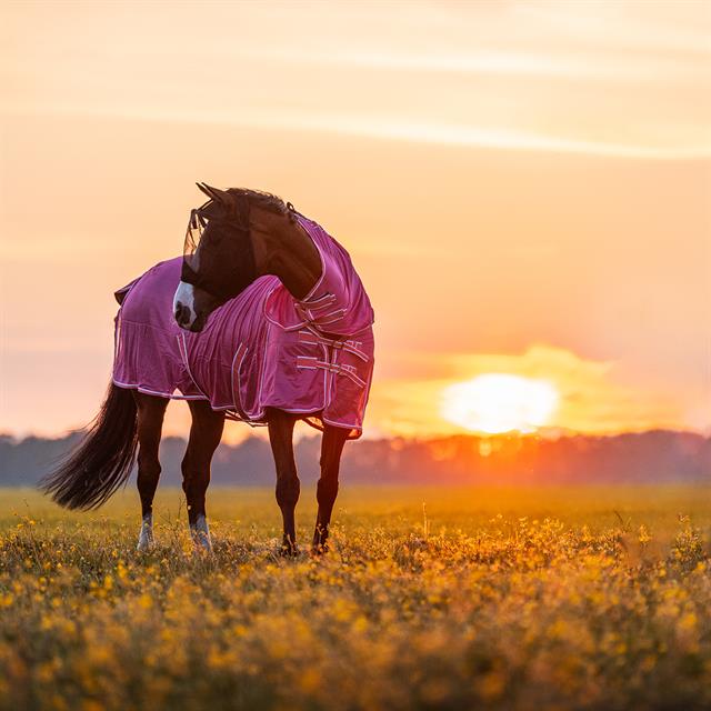 Vliegendeken Epplejeck EJSummertime Full Neck Roze
