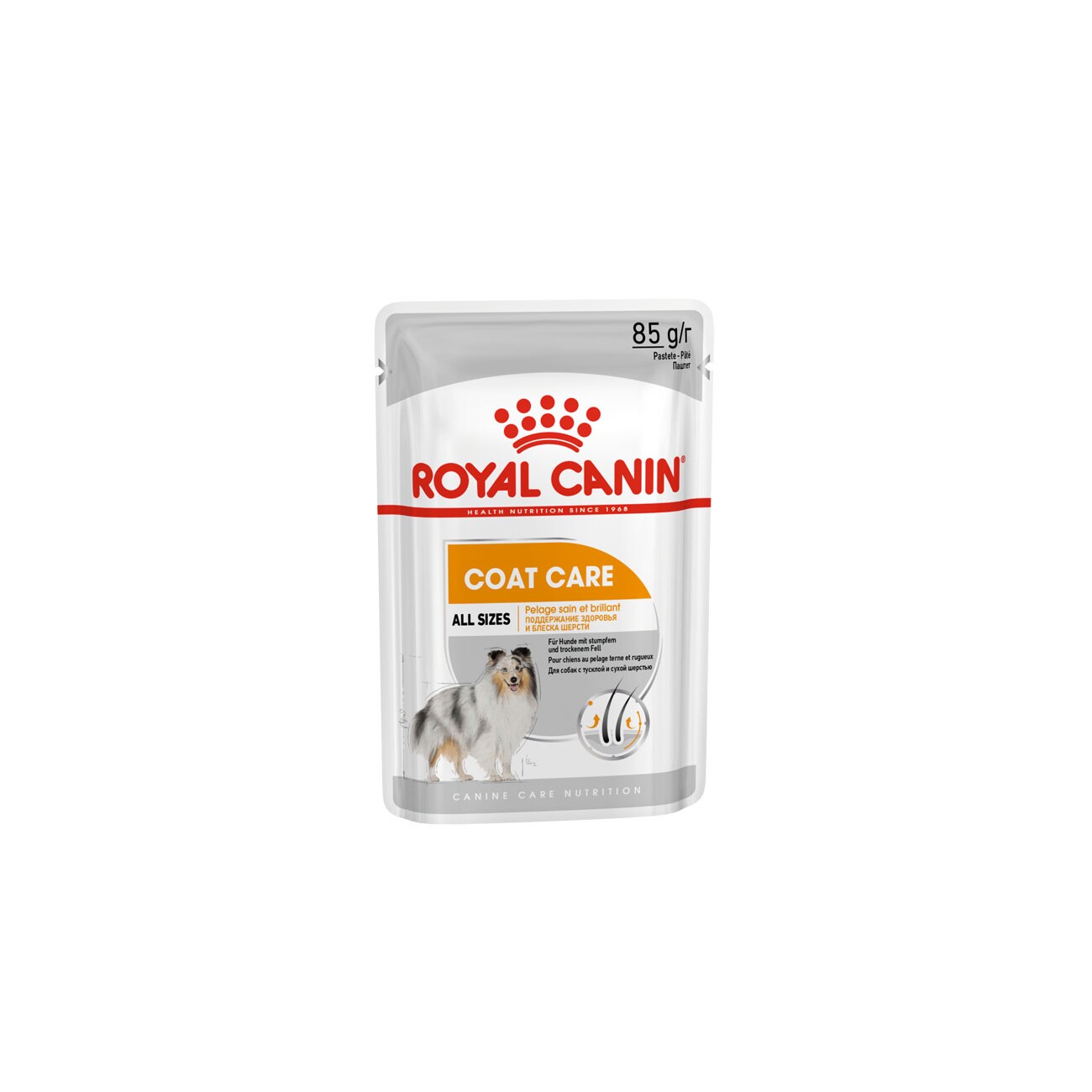 ROYAL CANIN Coat Care Adult Mousse 12x85 g