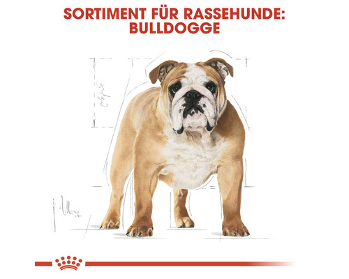 Droog hondenvoer, ROYAL CANIN CC Bulldog Adult, 12 kg