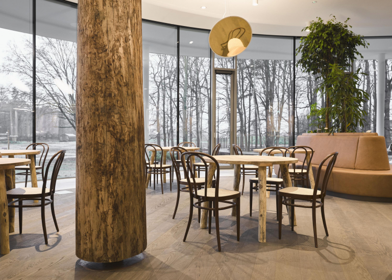 Thonet 218 eetkamerstoel licht beuken