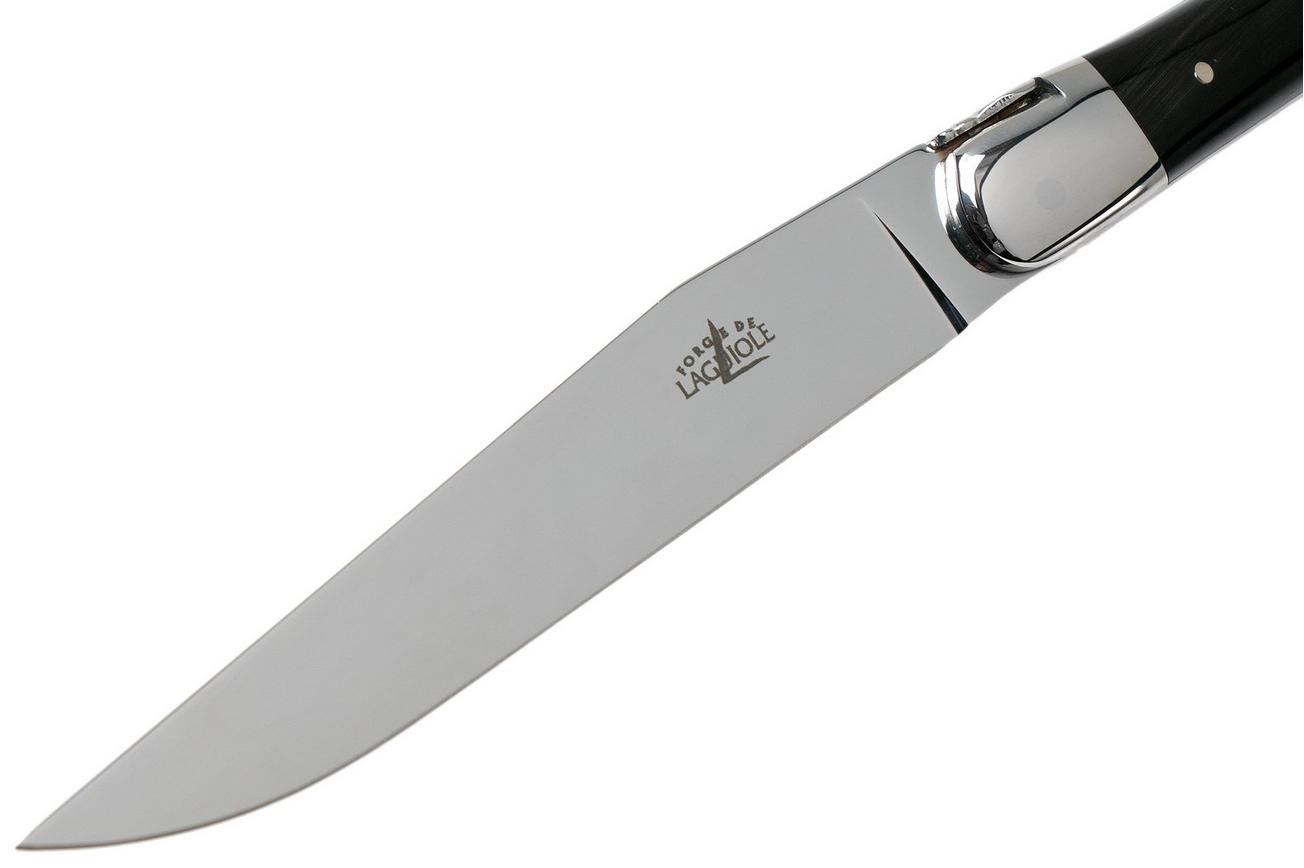 Forge de Laguiole T22MINBF hoorn gepolijst 2-delige steakmessenset