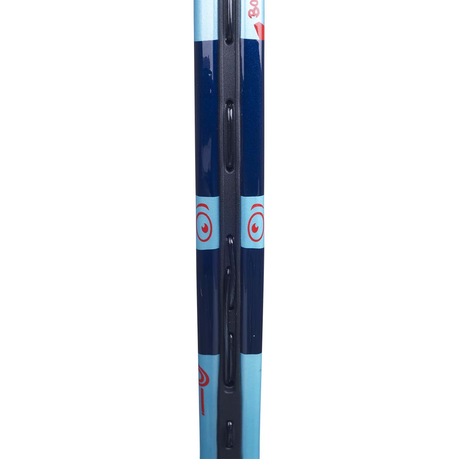 Babolat  Ballfighter 17