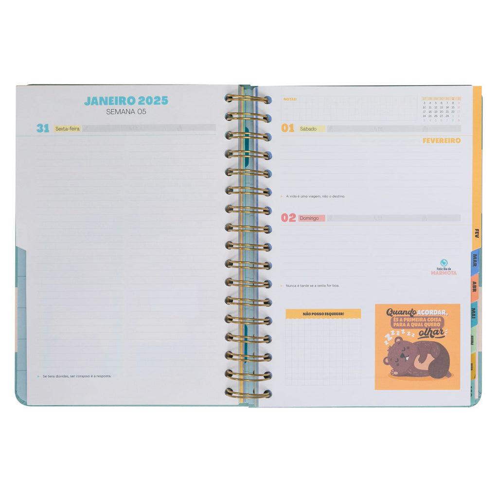 Agenda Wonder 24/25 Dia Grande - O Melhor De Cada Dia