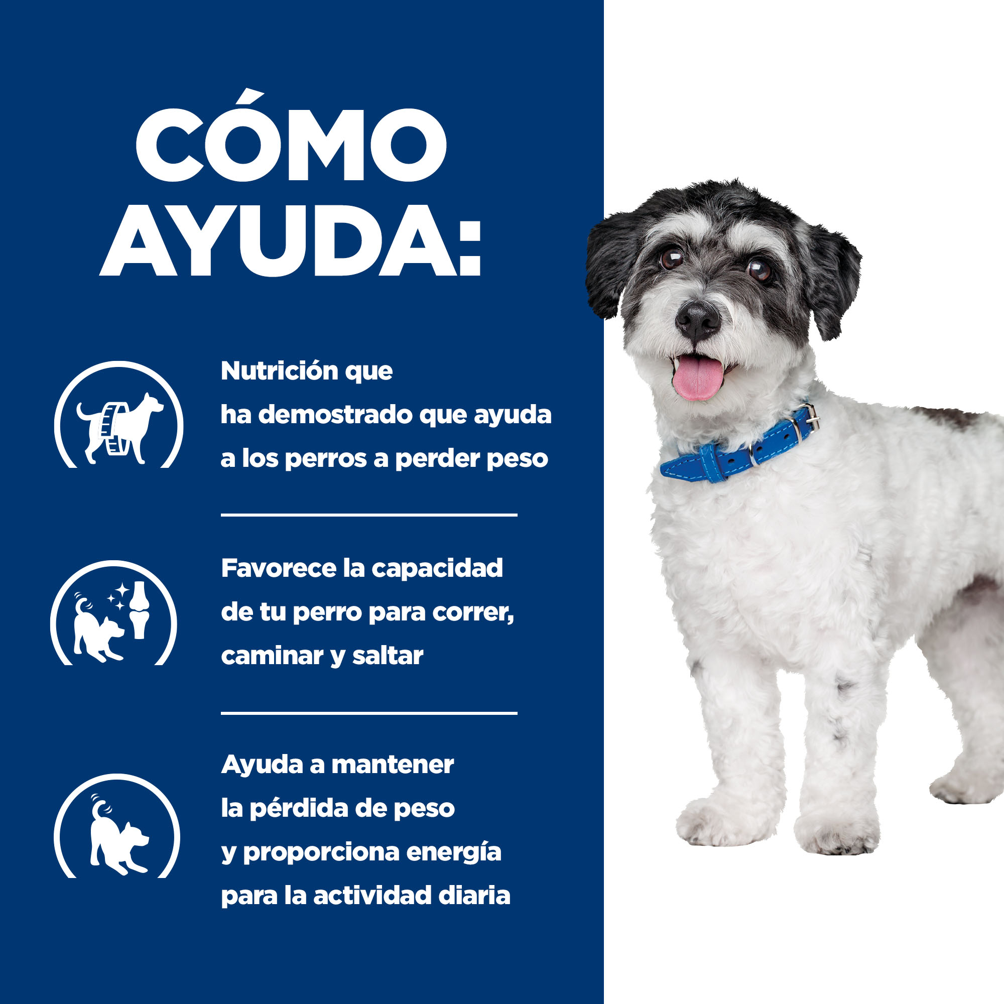 Hill's Prescription Diet Metabolic + Mobility Mini j/d pienso para perros