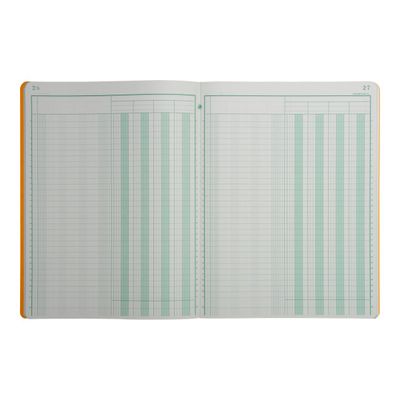 Exacompta - Piqûre comptable - 4 colonnes par page - 32 x 25 cm - 80 pages