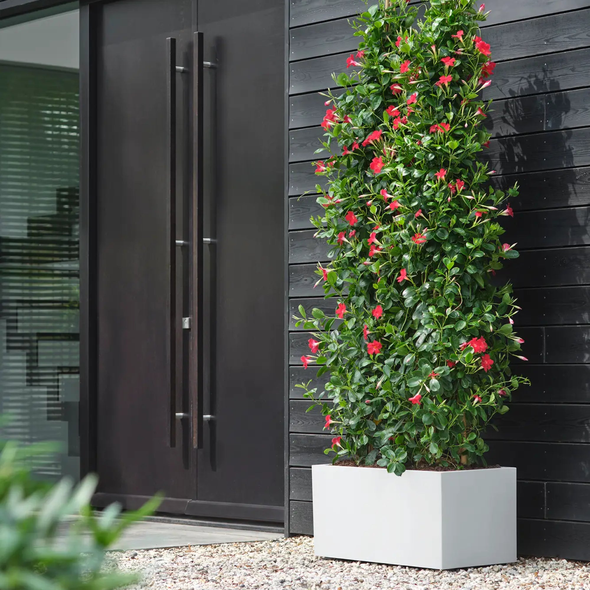 elho Vivo Next Plantenbak B 80 cm - Wit