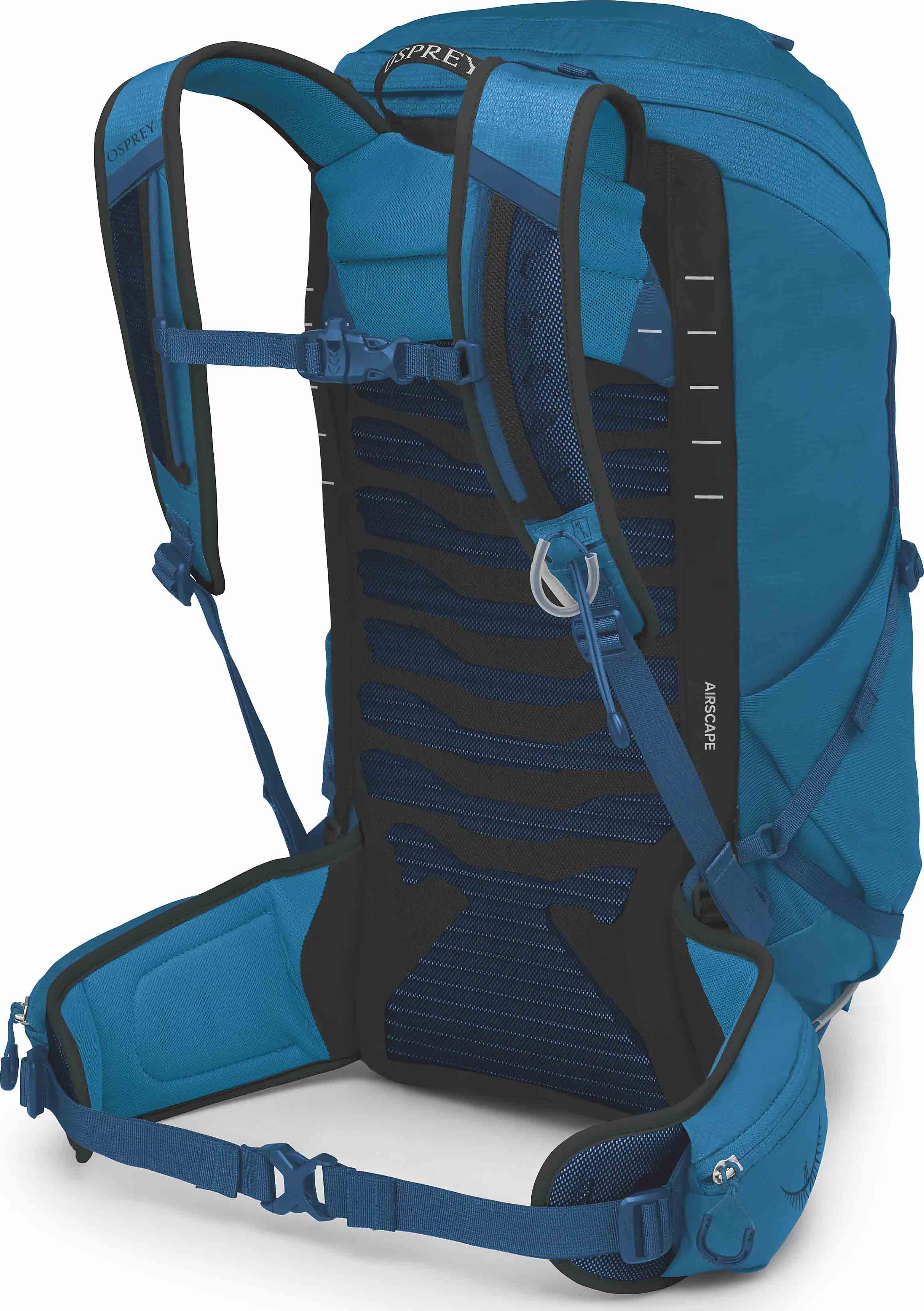Talon 26 Scoria Blue/Night Shift