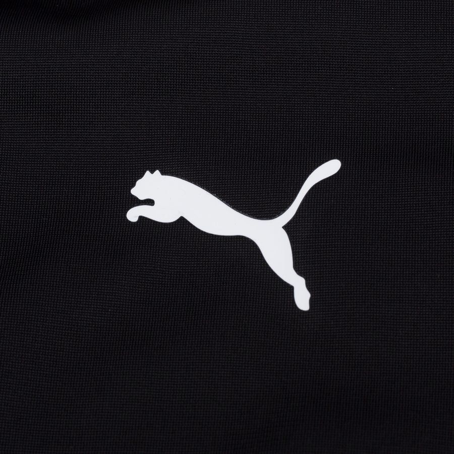 PUMA Veste d'Entraînement teamGOAL 23 - Noir/Gris Enfant