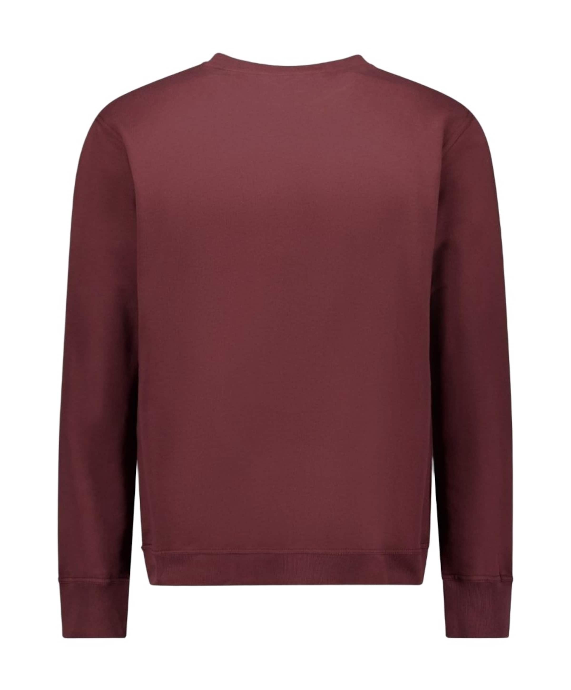 Airforce Heren sweater bruin