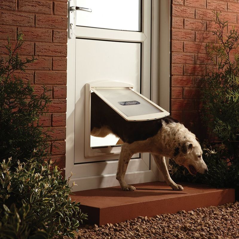 PetSafe - Staywell 760 - Huisdierluik - Wit - Geschikt voor Honden tot 45 kg