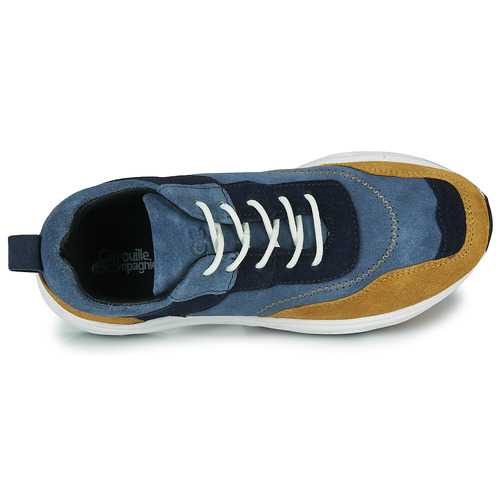 Citrouille et Compagnie - BESTY - Bleu