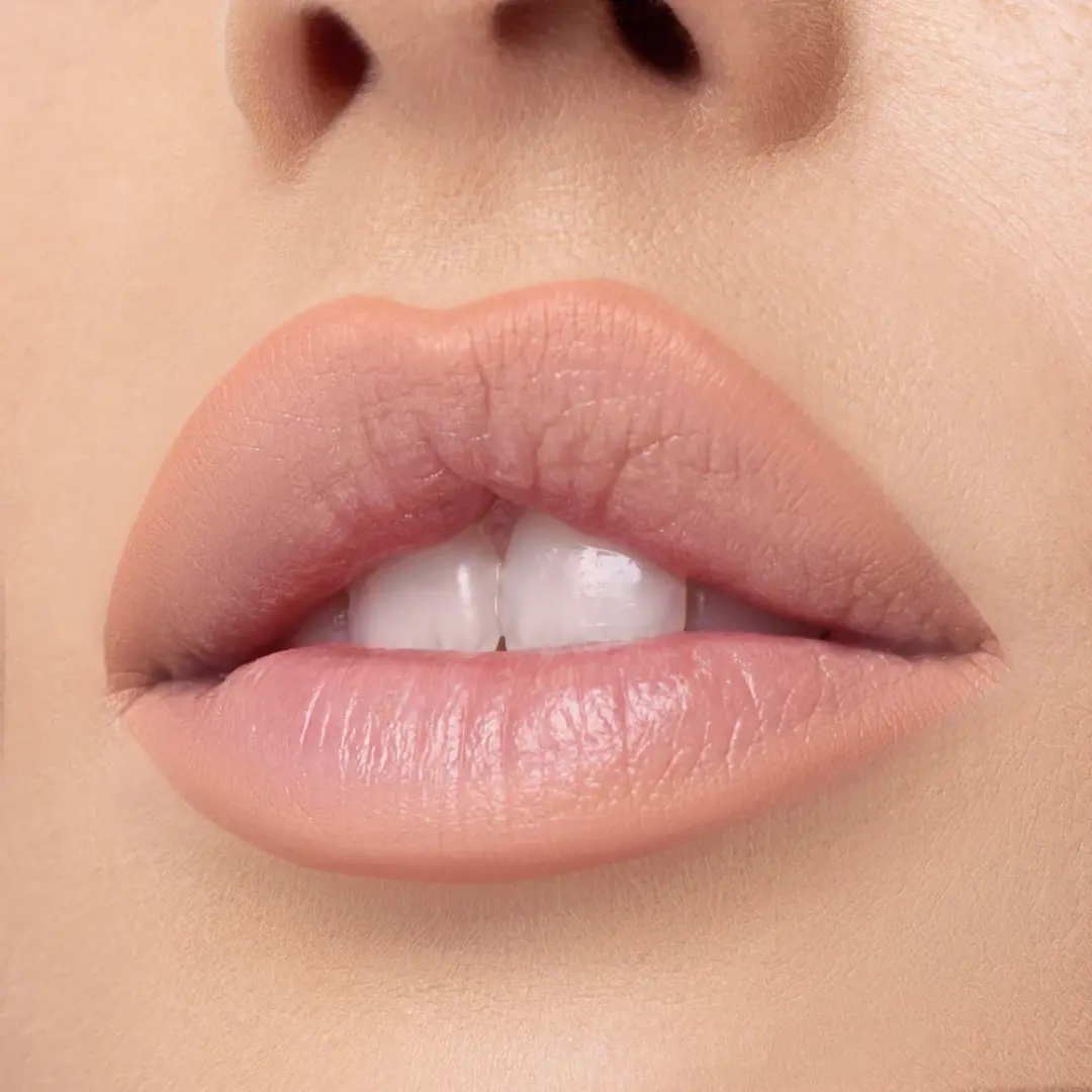 Nude X Lipliner Twisted Love