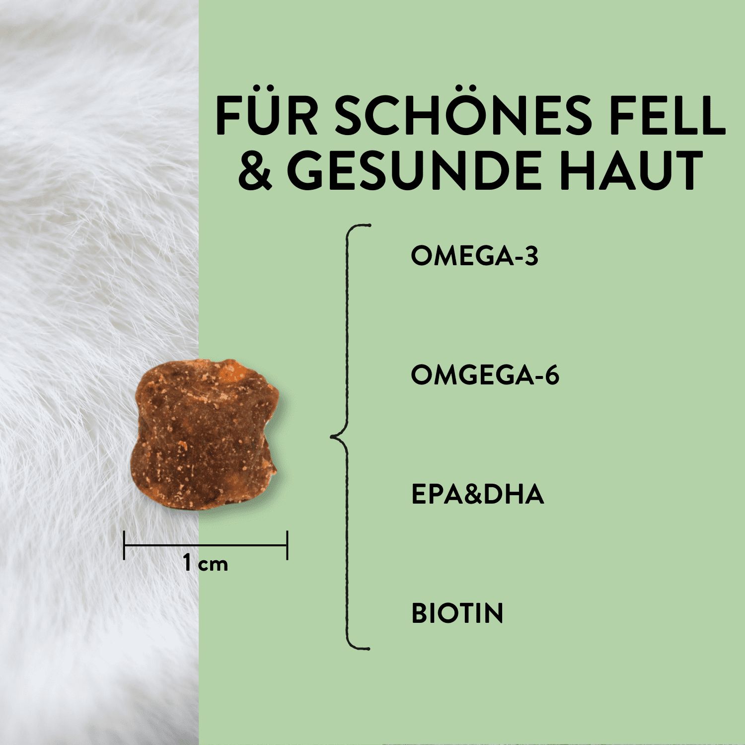 PUJA Beauty–Set für Hunde