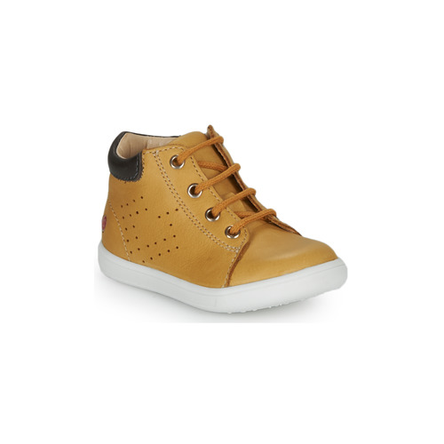 GBB - FOLLIO - Ocre