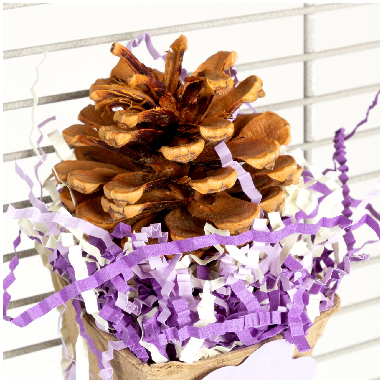 HappyBird Knabberspielzeug Pinecone Cup