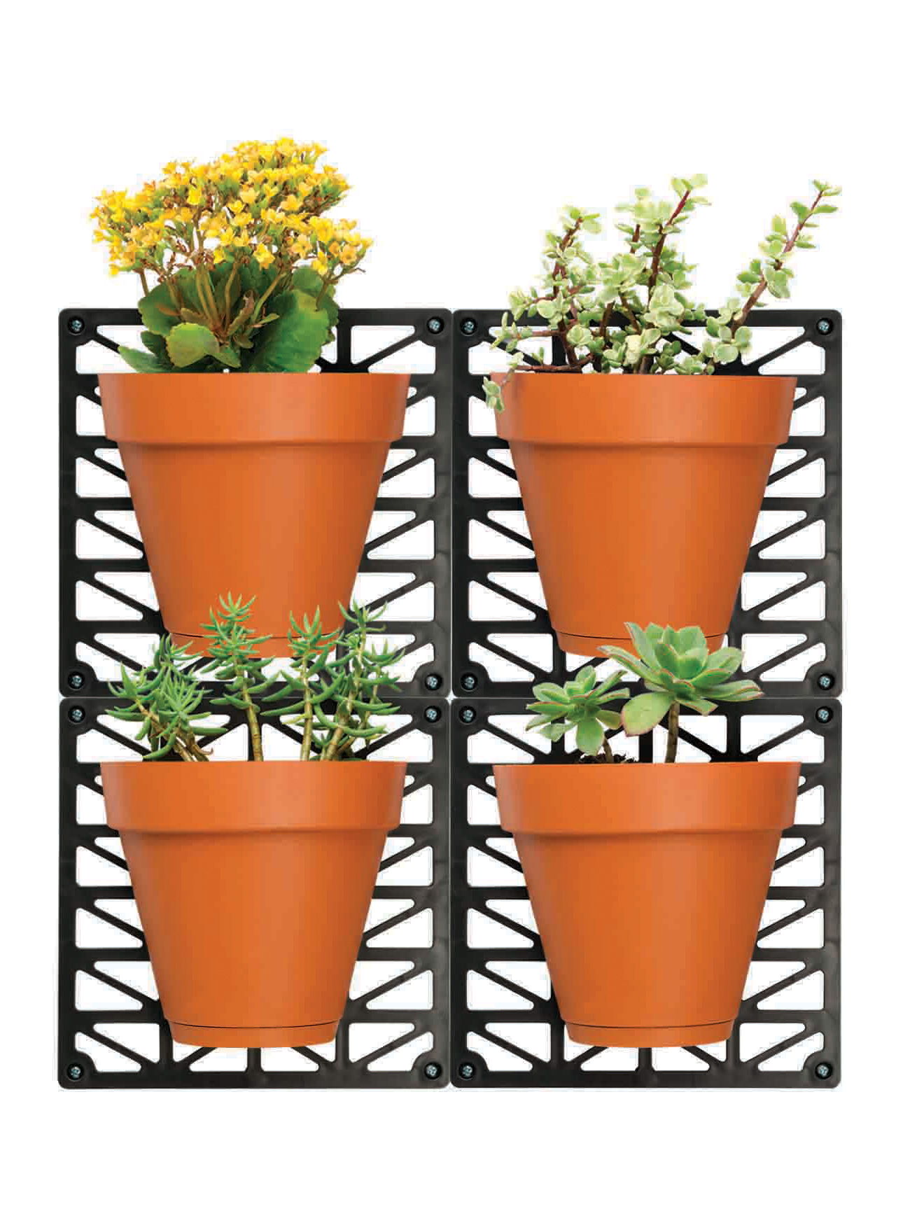 4 pots avec support mural