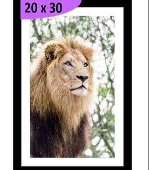 TABLEAU 20X30CM BAGUETTE NOIR MAT LION