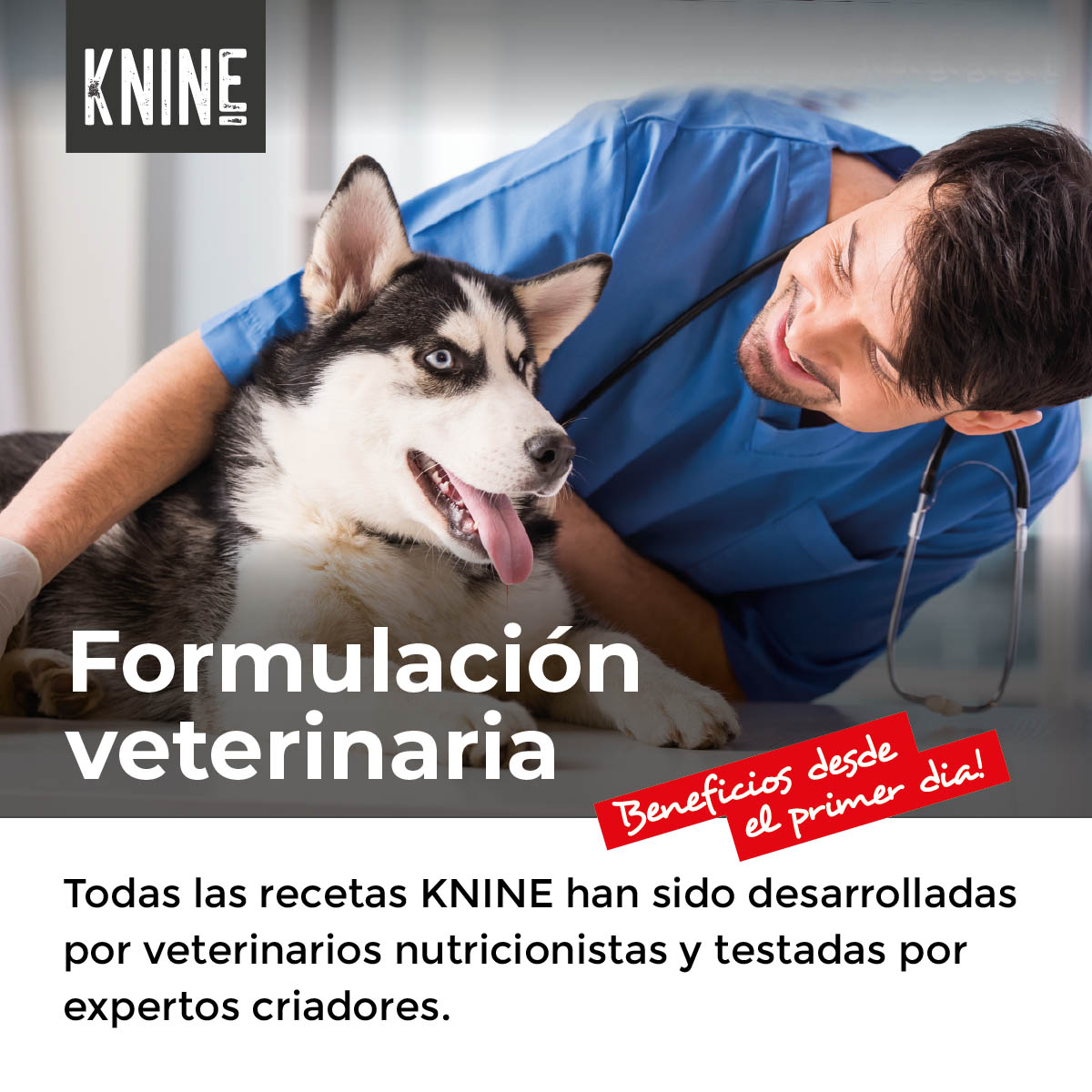 Ração para cães KNINE 365 Days, frango, baixo teor de grãos, 14 kg.