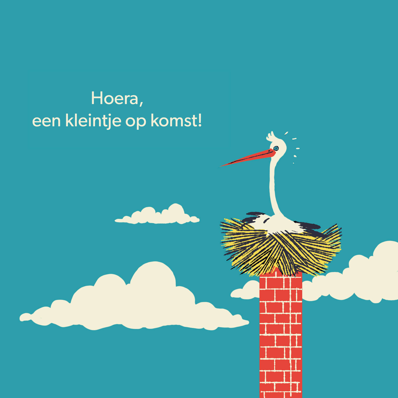 Wehkamp Digitale Cadeaukaart Kleintje op komst 5 euro