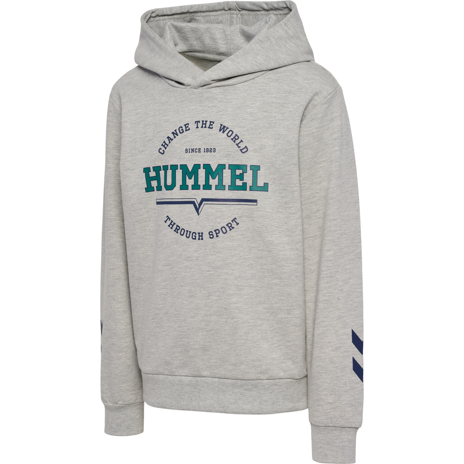 hmlASHER HOODIE