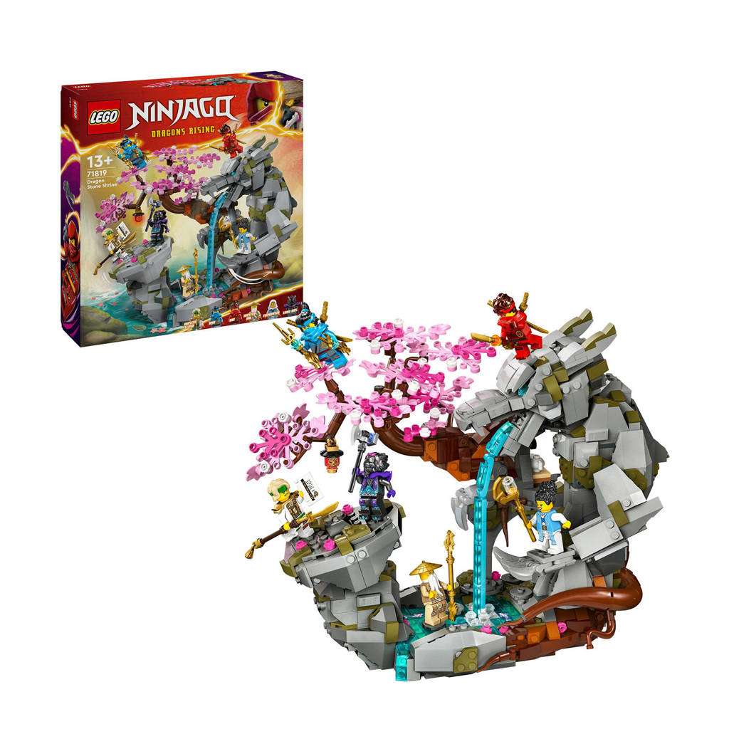Lego bouwen voor gevorderdenAltaar van de Stenen Draak Speelgoed Set van de Dragons Rising Tv-Serie 71819
