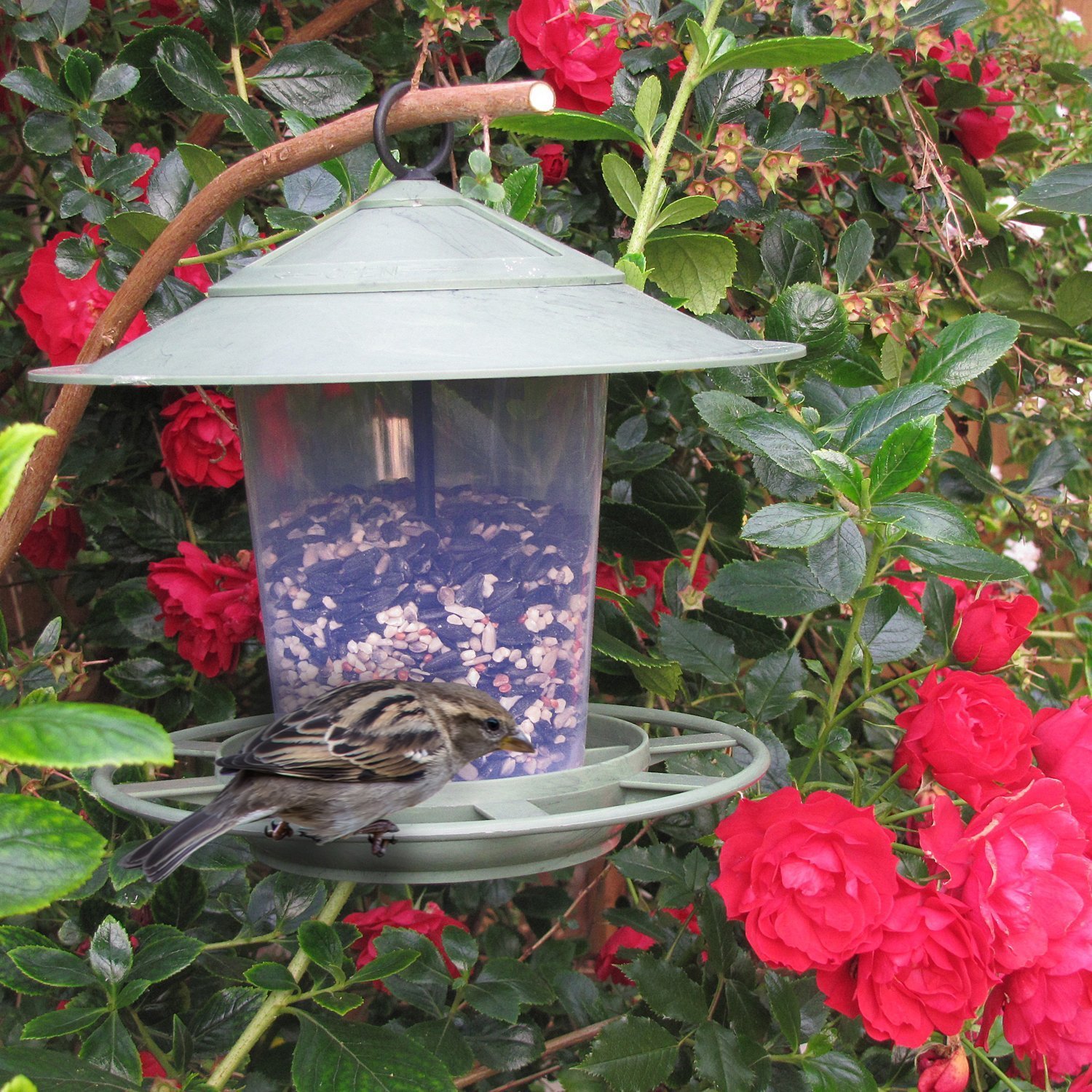 Mangeoire à oiseaux eco beacon