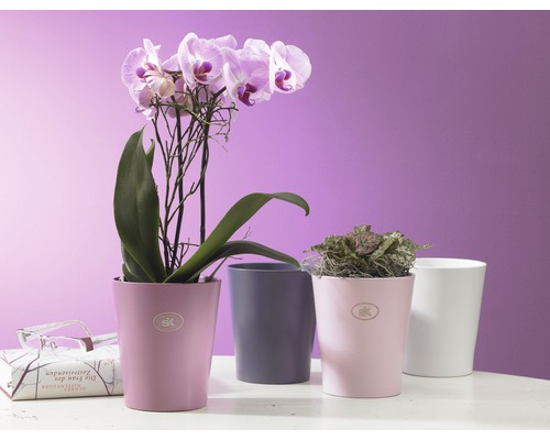 Soendgen Merina keramische bloempot, Ø 14 cm, fuchsia