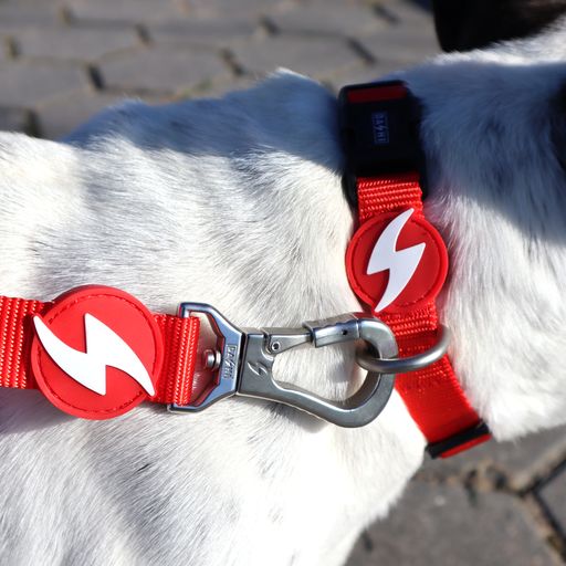 Guia de nylon vermelha para cães