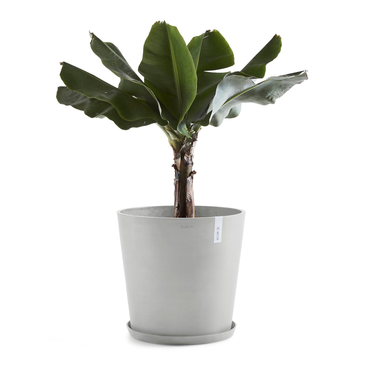 Ecopots Amsterdam 50
