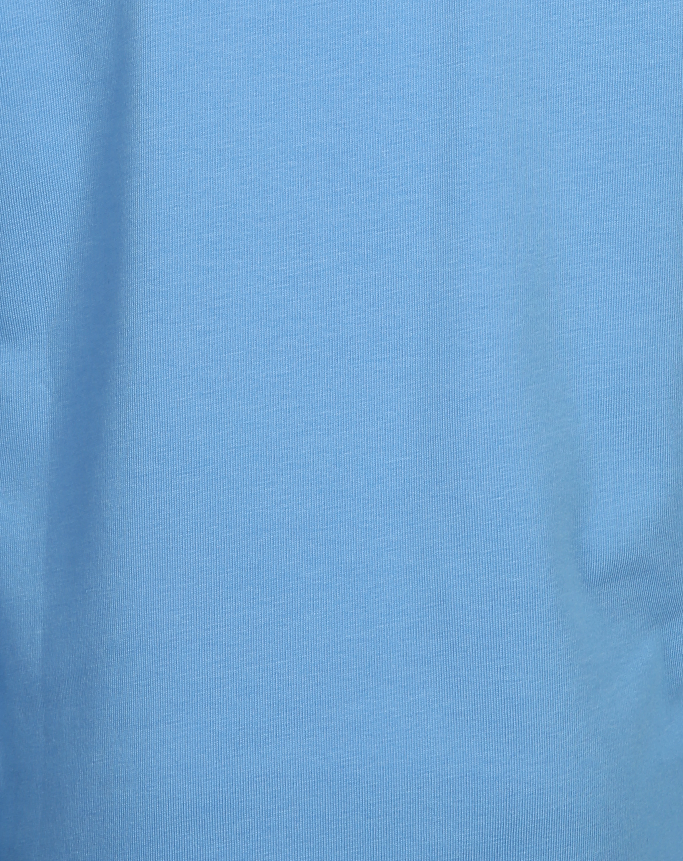 Langarmshirt T-REX in hellblau