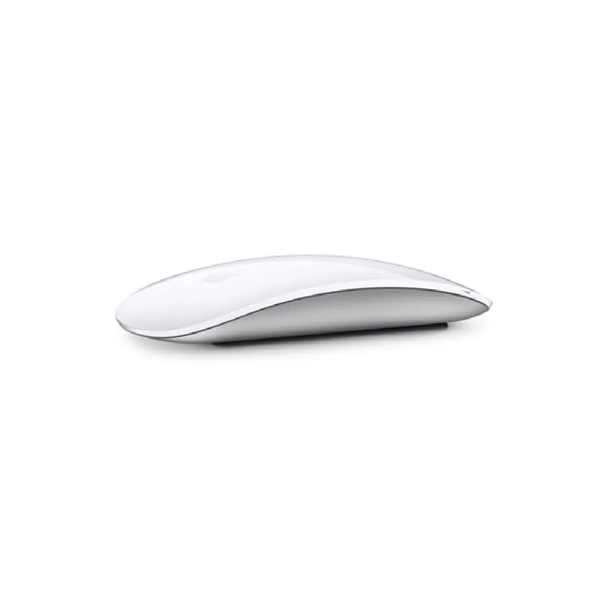 Apple Magic Mouse - Argent · Reconditionné