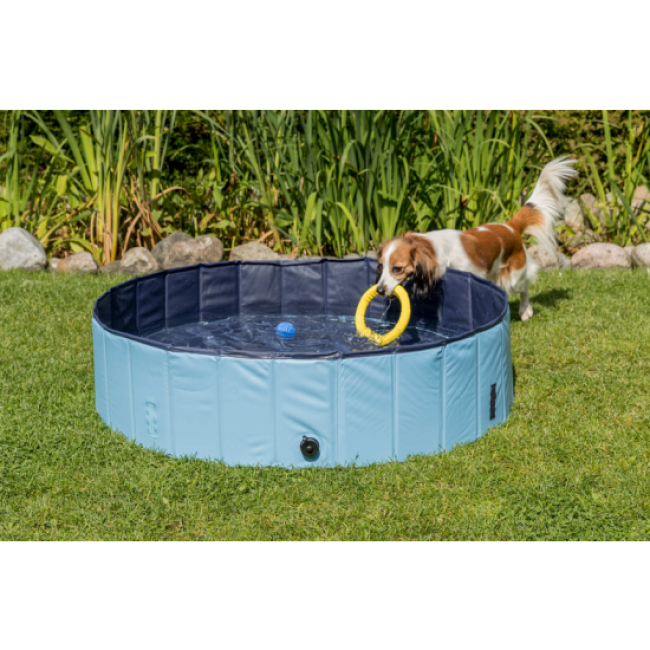 Piscine Trixie pour chien