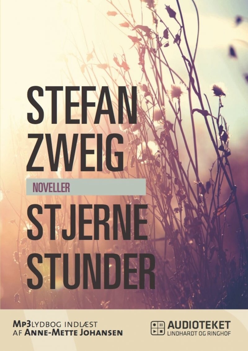 Stjernestunder - Stefan Zweig - Bog