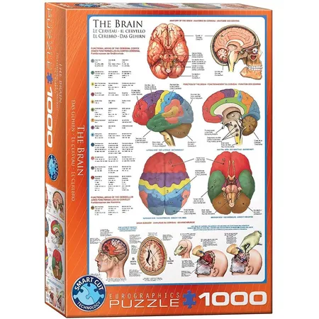 Eurographics Das Gehirn, 1000 Teile