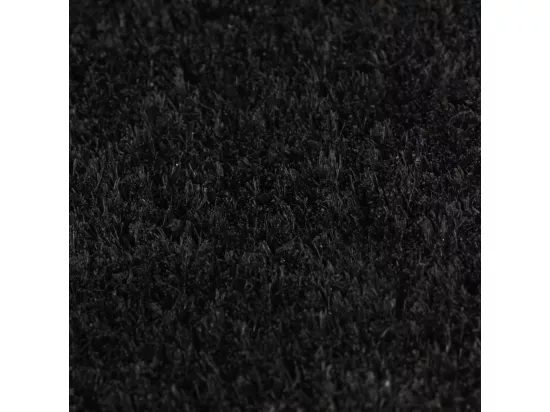 Tapis de porte 2 pcs noir 40x60 cm fibre de coco touffeté