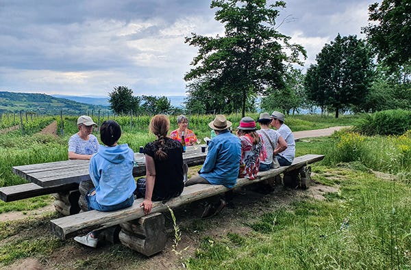 Weinwanderung Ingelheim am Rhein
