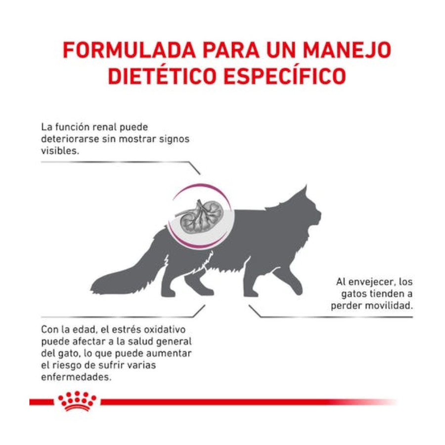 Ração Royal Canin Veterinary Early Renal para gatos