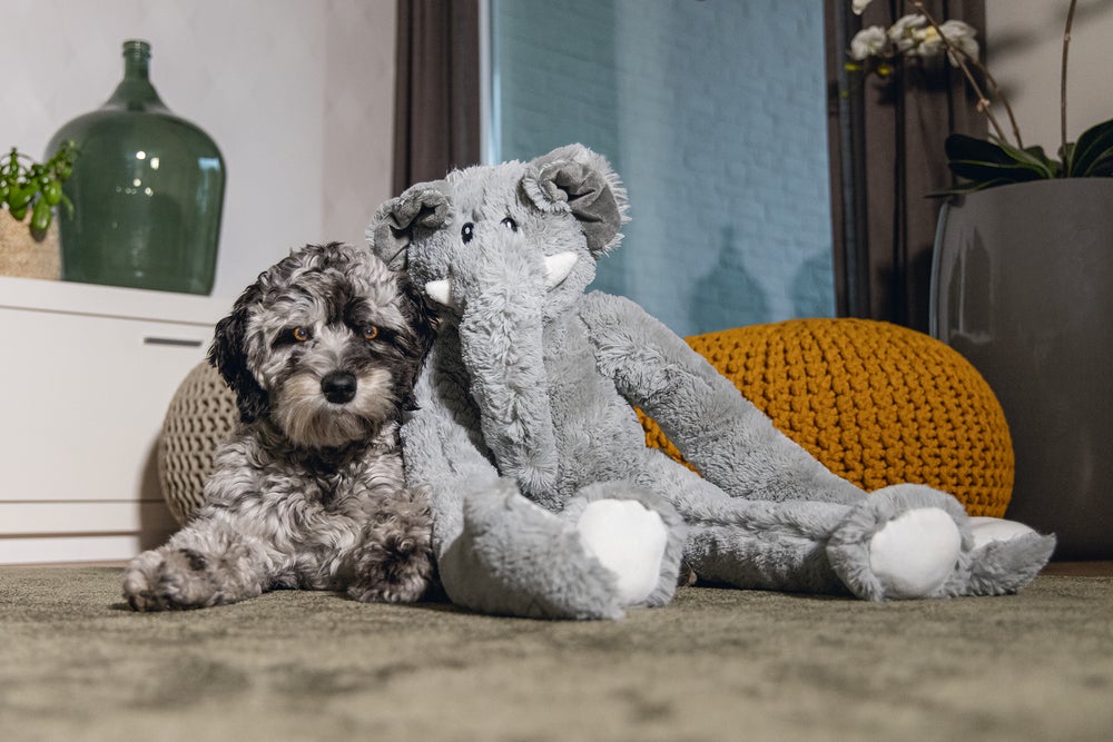 Beeztees hondenspeelgoed knuffel olifant James 28 x 15 x 80 cm XL
