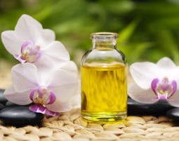 Wellnesstag für Sie in Stuttgart als Geschenk